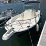 White Shark 225